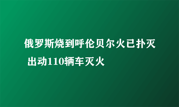 俄罗斯烧到呼伦贝尔火已扑灭 出动110辆车灭火