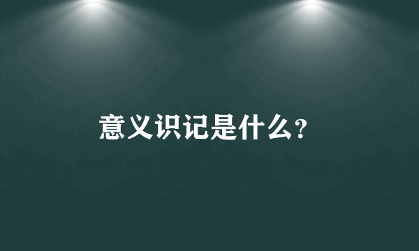 意义识记是什么？