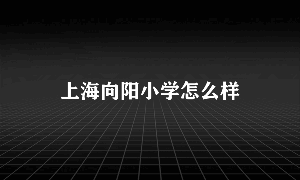 上海向阳小学怎么样