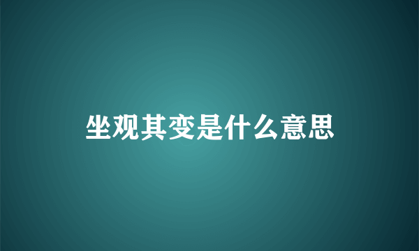 坐观其变是什么意思