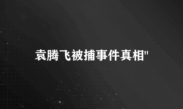 袁腾飞被捕事件真相