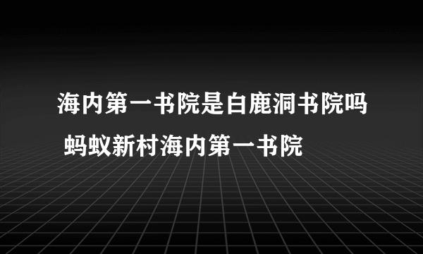 海内第一书院是白鹿洞书院吗 蚂蚁新村海内第一书院