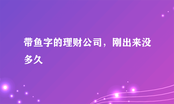 带鱼字的理财公司，刚出来没多久