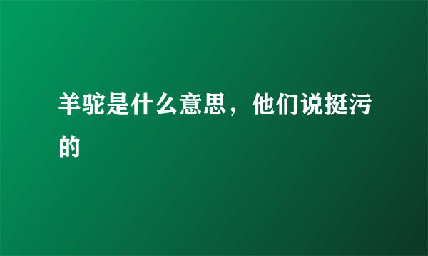 羊驼是什么意思，他们说挺污的