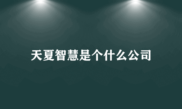 天夏智慧是个什么公司
