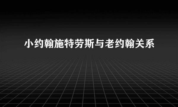小约翰施特劳斯与老约翰关系