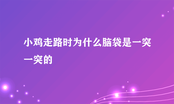 小鸡走路时为什么脑袋是一突一突的