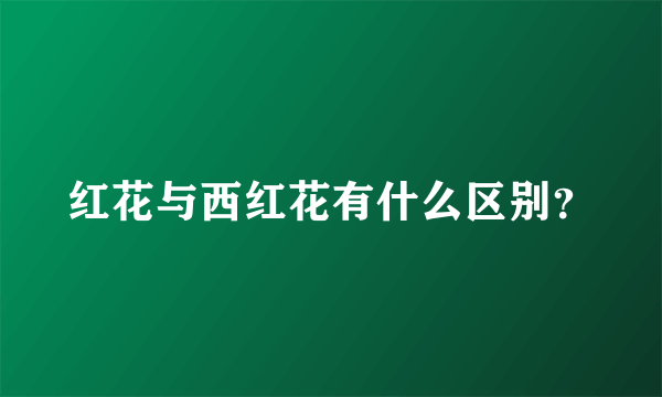 红花与西红花有什么区别？