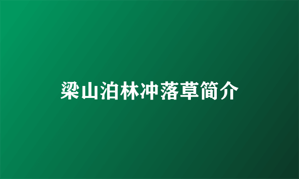 梁山泊林冲落草简介