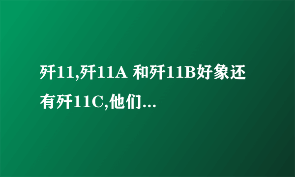 歼11,歼11A 和歼11B好象还有歼11C,他们之间有什么区别?