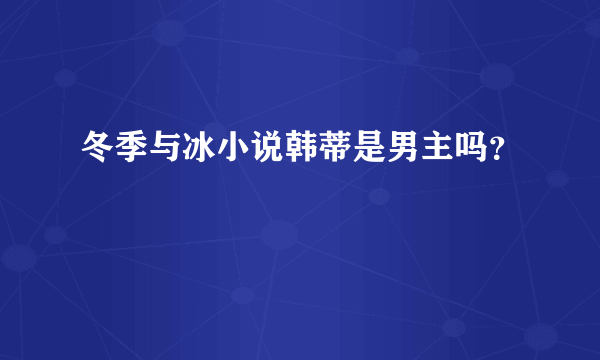 冬季与冰小说韩蒂是男主吗？