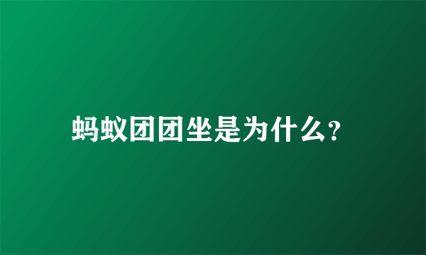 蚂蚁团团坐是为什么？