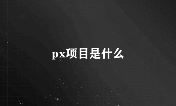 px项目是什么