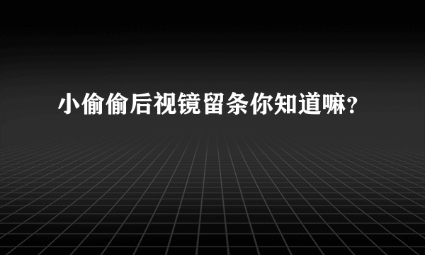 小偷偷后视镜留条你知道嘛？