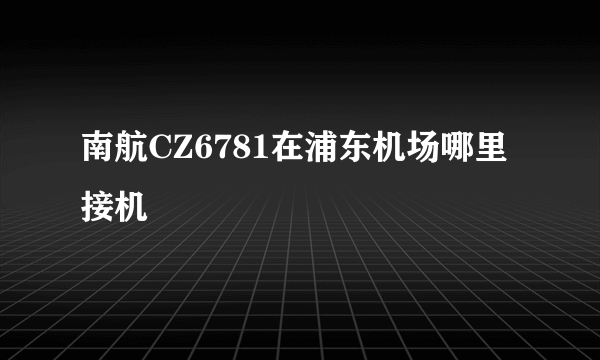 南航CZ6781在浦东机场哪里接机