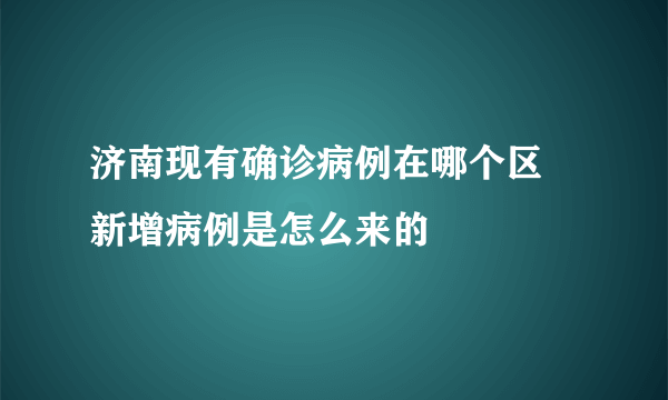济南现有确诊病例在哪个区 新增病例是怎么来的