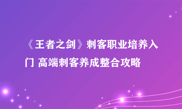 《王者之剑》刺客职业培养入门 高端刺客养成整合攻略