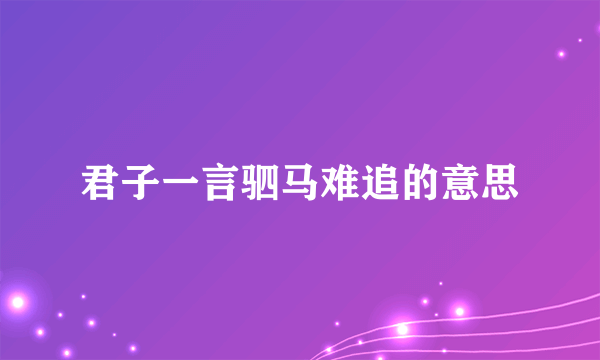 君子一言驷马难追的意思