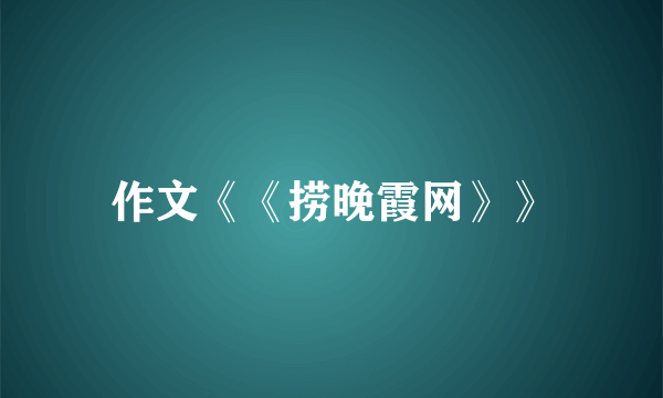 作文《《捞晚霞网》》