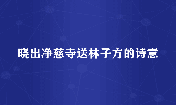 晓出净慈寺送林子方的诗意