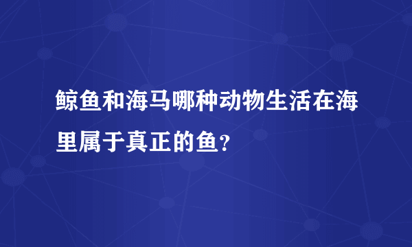 鲸鱼和海马哪种动物生活在海里属于真正的鱼？