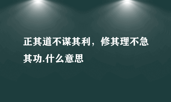 正其道不谋其利，修其理不急其功.什么意思