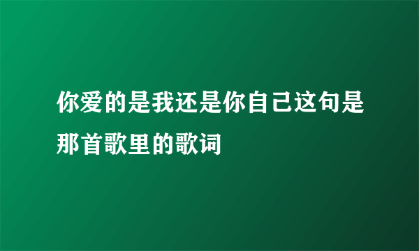 你爱的是我还是你自己这句是那首歌里的歌词