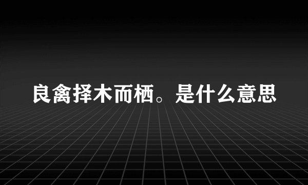 良禽择木而栖。是什么意思