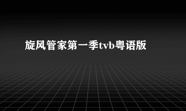 旋风管家第一季tvb粤语版