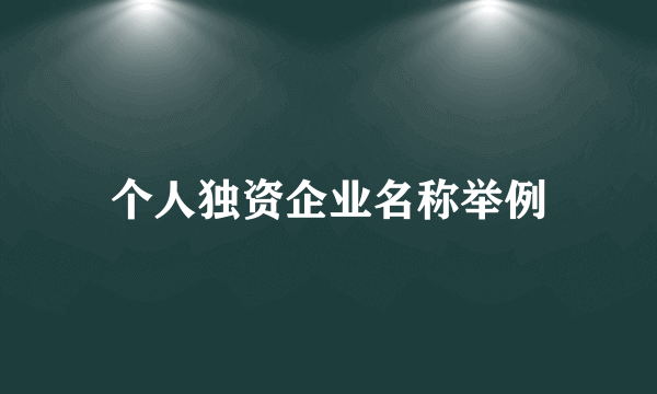 个人独资企业名称举例