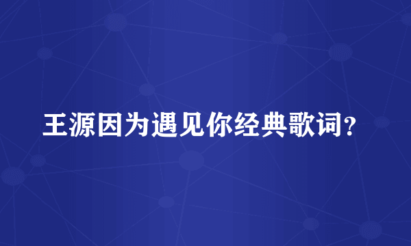 王源因为遇见你经典歌词？