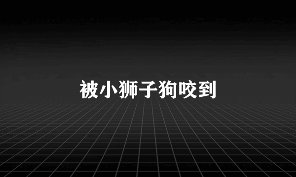 被小狮子狗咬到