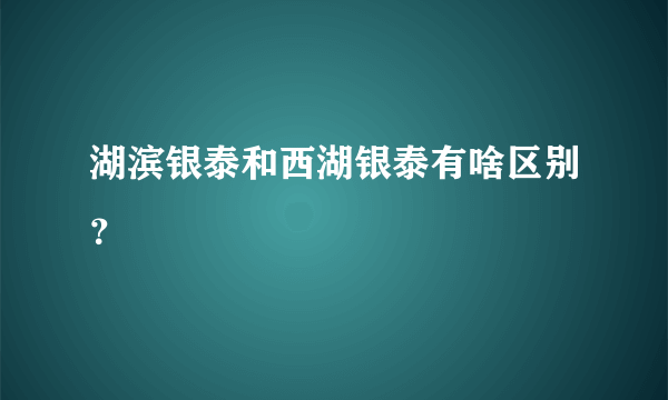 湖滨银泰和西湖银泰有啥区别？