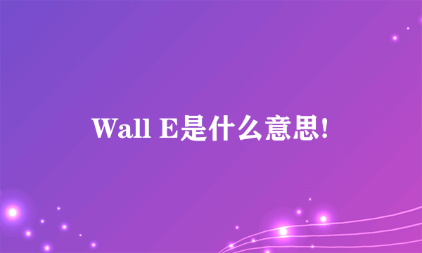 Wall E是什么意思!