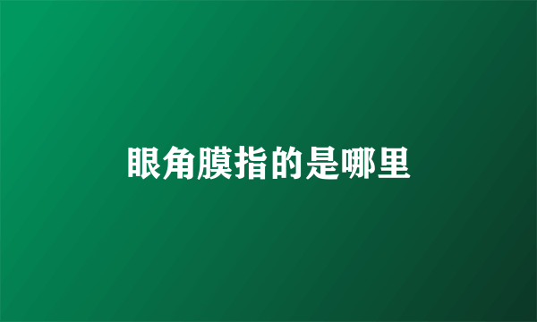 眼角膜指的是哪里