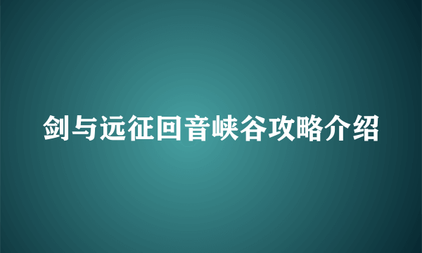 剑与远征回音峡谷攻略介绍