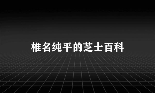椎名纯平的芝士百科