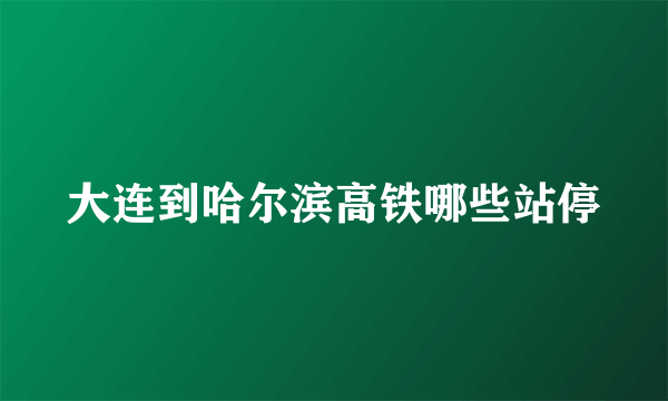 大连到哈尔滨高铁哪些站停