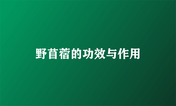 野苜蓿的功效与作用