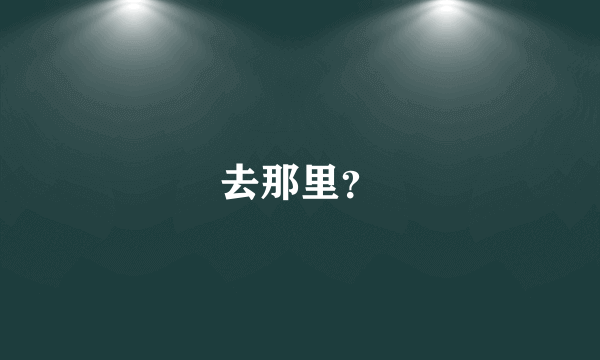 去那里？