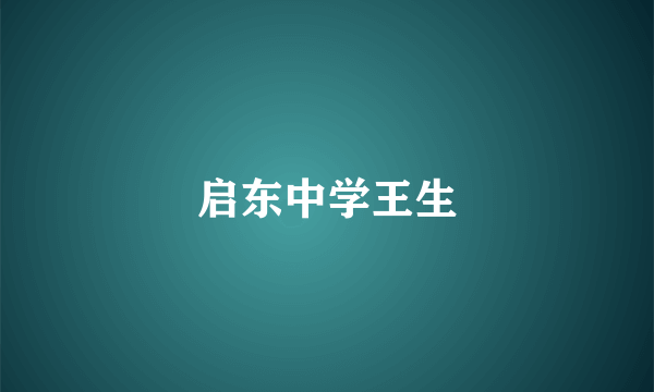 启东中学王生