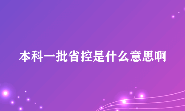 本科一批省控是什么意思啊