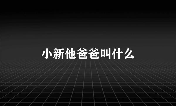 小新他爸爸叫什么