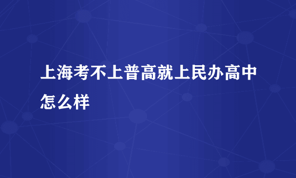 上海考不上普高就上民办高中怎么样
