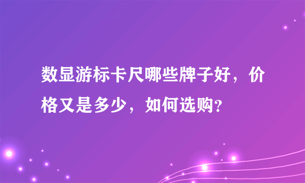 数显游标卡尺哪些牌子好，价格又是多少，如何选购？
