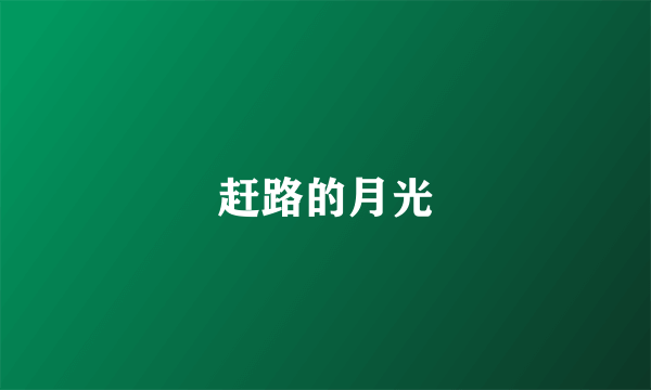 赶路的月光