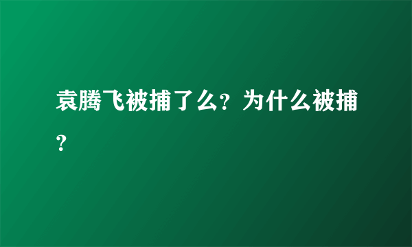 袁腾飞被捕了么？为什么被捕？