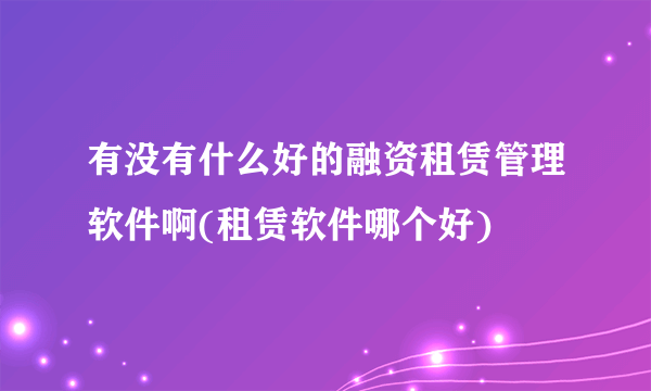 有没有什么好的融资租赁管理软件啊(租赁软件哪个好)