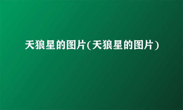 天狼星的图片(天狼星的图片)