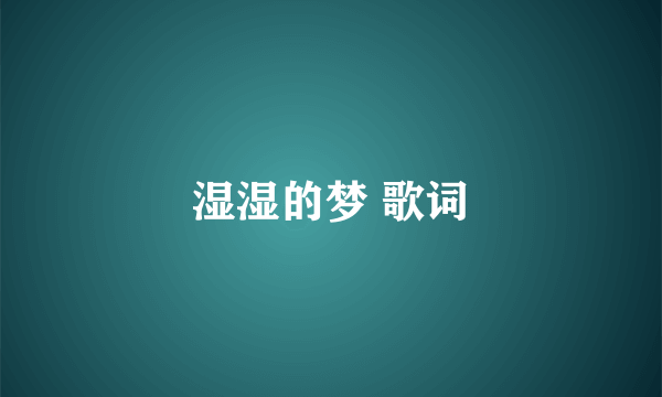 湿湿的梦 歌词